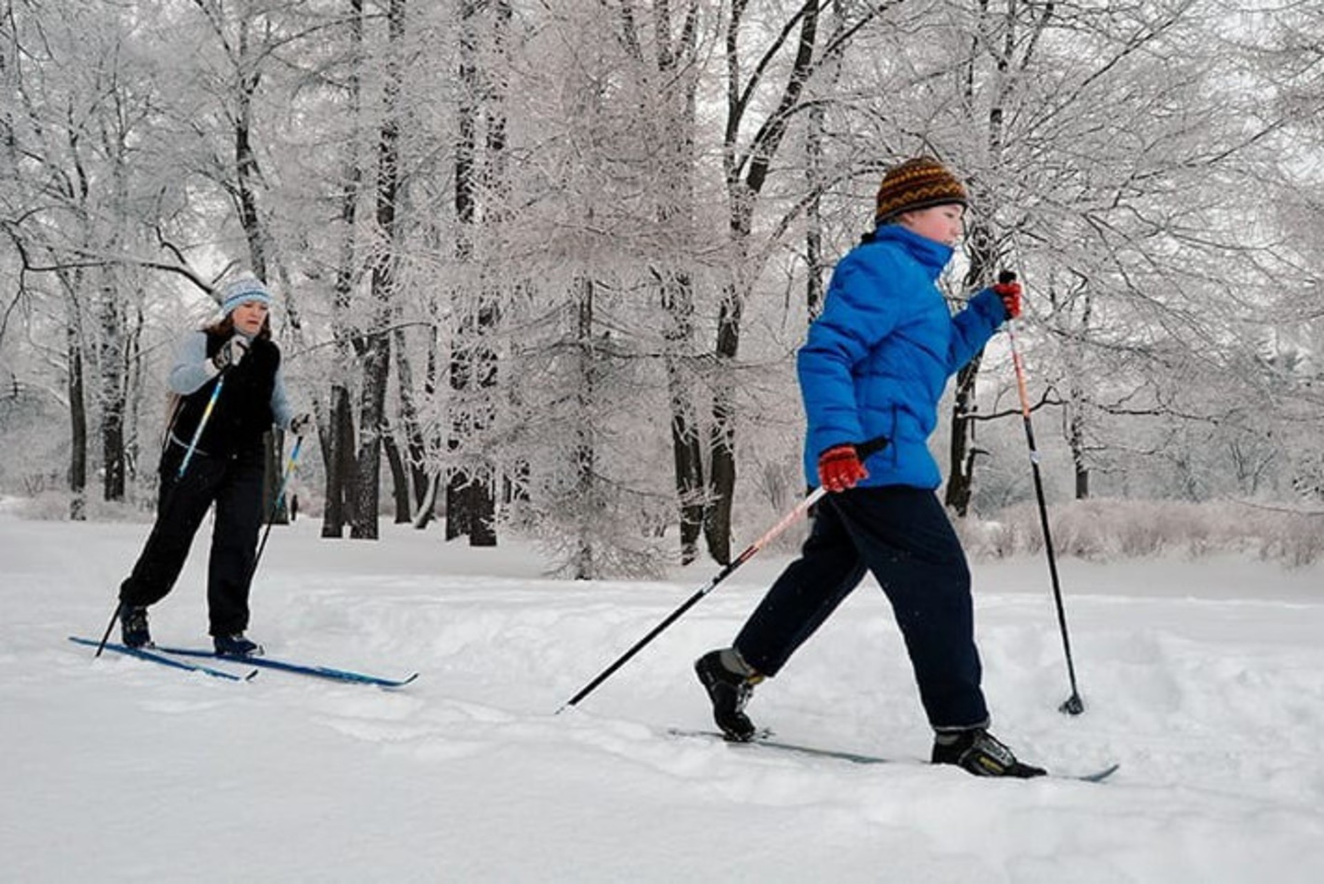 Увлекается катанием на лыжах. Лыжники в парке. Лыжи в парке. Катание на лыжах. Лыжня в парке.
